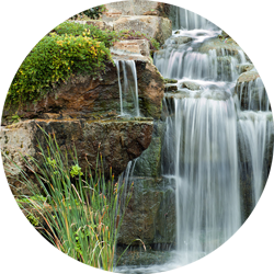 Фото: Shutterstock