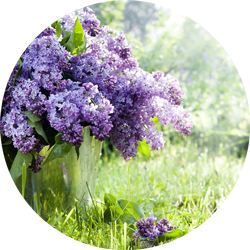 Фото: Shutterstock