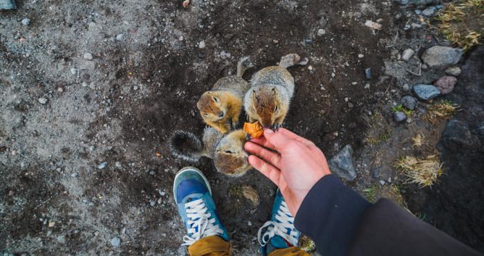 Фото: Александр Сидонцев