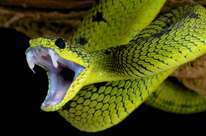 Фото: Shutterstock