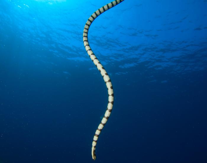 Фото: Shutterstock