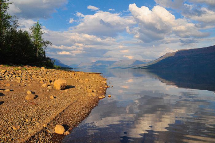 Фото: Shutterstock
