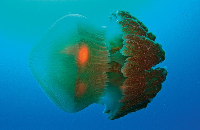 Фото: Shutterstock