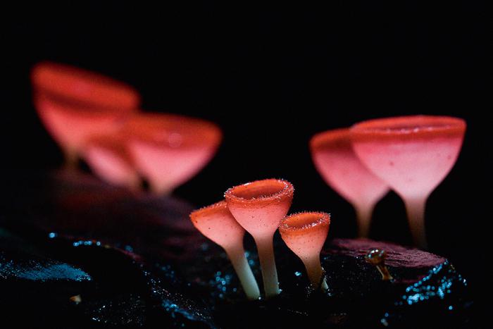Фото: Shutterstock