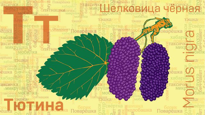 Иллюстрация: Алексей Таранин